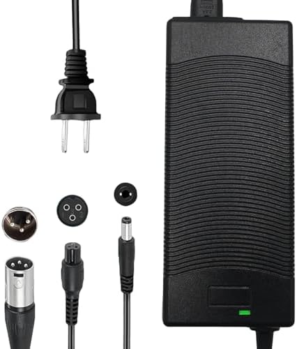 THEPRO 5|6V 2A Charger Universal Smart Charger for 48V Li-ion Battery DC5.5MM Jack Connector 3-Prong Inline Connector 3p