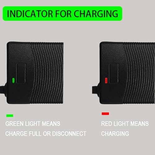THEPRO 5|6V 2A Charger Universal Smart Charger for 48V Li-ion Battery DC5.5MM Jack Connector 3-Prong Inline Connector 3p