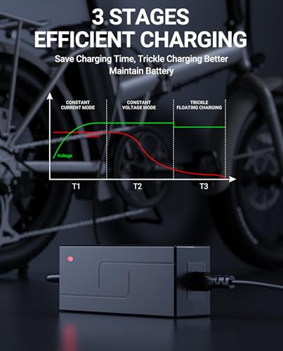 Ancheer Rad Power Lectric XP Himiway Cruiser Charger 5|6V 2A Compatible for Ebike Batteries - Image 3