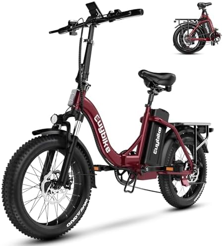 48V 20AH Removable Battery Electric Bike for Adults
| 30+MPH Max Speed Electric Bike
| 80 Miles Max Range Electric Bike - Image 22