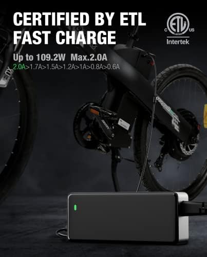 Lectric XP 1.0/|0/|0 5|6V 2A 48V Lithium Battery Charger DC 5.5-|5/|1mm Power Adapter for Lectric XP Premium E-Bike