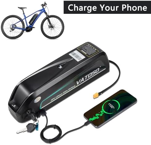 48V Lithium Ebike Battery, 12Ah/16Ah/20Ah, w/ 30A BMS, for 100W-1500W Electric Bicycles & E-Motorcycles, Includes 2A Cha