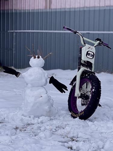 MACFOX X1S 2025 Ebike for Adults: Class-3 750W Electric Bike, 38-56 Miles Range, 25 MPH Max Speed, City/School Commuting