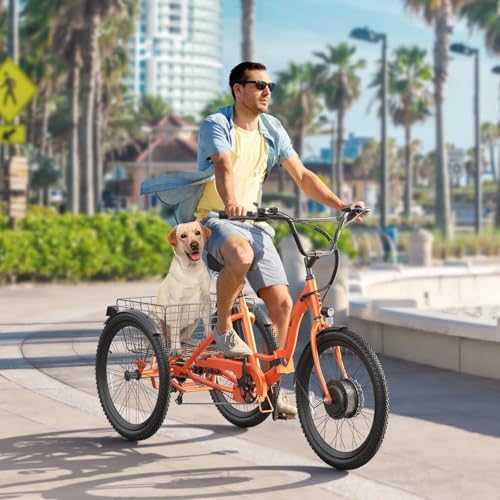 ANCHEER 350W Peak 550W Electric Tricycle for Adults, 48V 499Wh Folding Trike, 24" Rear Differential Basket E-Bike, 15.5M