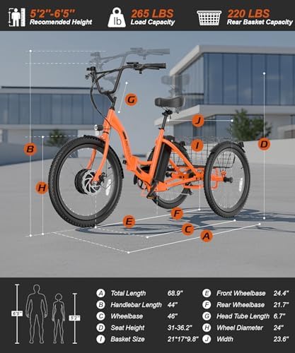 Anchee Electric Tricycle for Seniors, 24" 499Wh Ebike, 15.5MPH, Foldable, Removable Battery, 3 Wheel, LCD Display, Rear