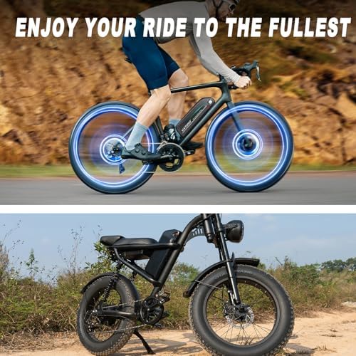 48V Lithium Ebike Battery, 12Ah/16Ah/20Ah, w/ 30A BMS, for 100W-1500W Electric Bicycles & E-Motorcycles, Includes 2A Cha