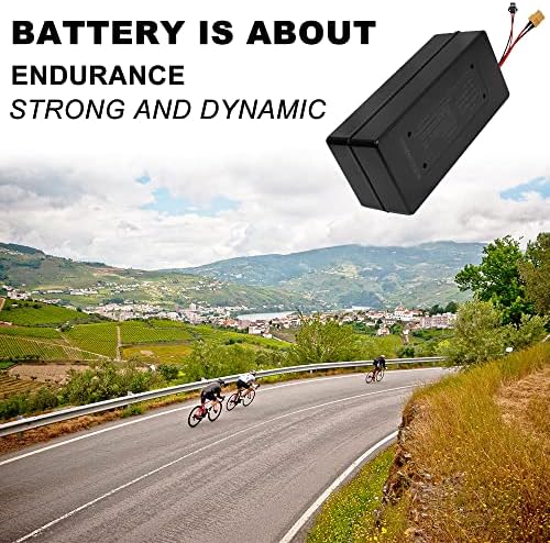 10ah 36V Ebike Battery, 216Wh Conversion Kit for Electric Bikes, 100W to 250W Motor Compatible (Black) | 10ah Ebike Bat