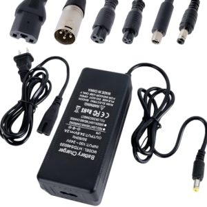 Electrict Bike Charger 5|6V 48V Lithium Batterycompatible with RazorGotrax Ninebot Swagtron Jetson Segway Hiboy AC120V I