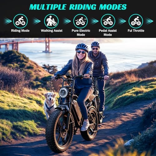 TST Electric Bike for Adults 1500W Peak 20" Fat Tire All-Terrain E-Bike | TST Electric Dirt Bike for Road Sand Mountain