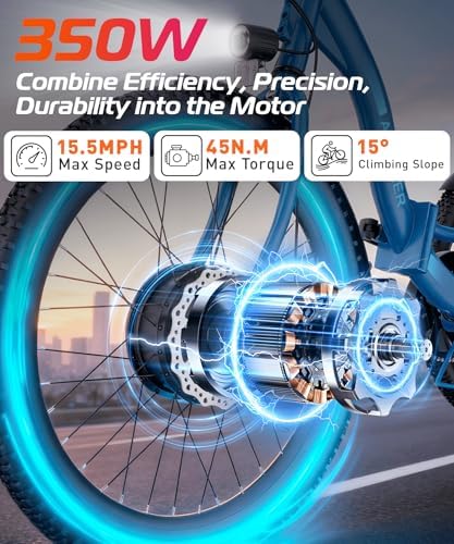 Anchee Electric Tricycle for Seniors, 24" 499Wh Ebike, 15.5MPH, Foldable, Removable Battery, 3 Wheel, LCD Display, Rear