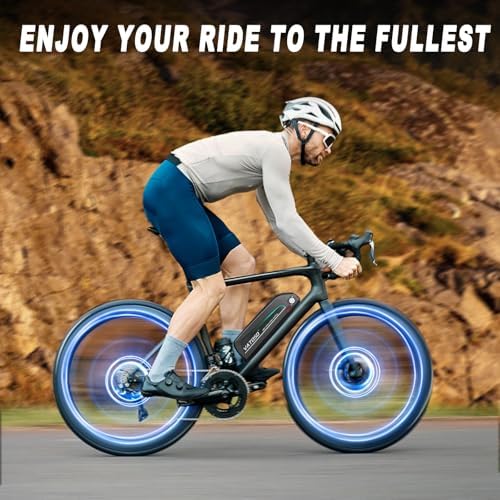 48V Lithium Ebike Battery, 12Ah/16Ah/20Ah, w/ 30A BMS, for 100W-1500W Electric Bicycles & E-Motorcycles, Includes 2A Cha