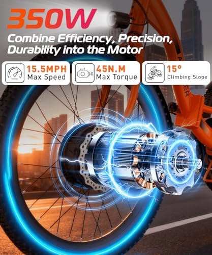 Anchee Electric Tricycle for Seniors, 24" 499Wh Ebike, 15.5MPH, Foldable, Removable Battery, 3 Wheel, LCD Display, Rear