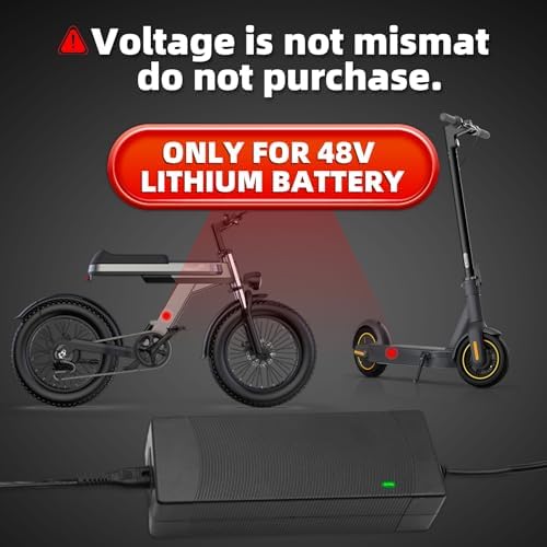 UL Certified Fast Charging Electric Bike Charger for 48V Ebike Battery - Compatible with Lectric XP |0/|0, Ecotric City/