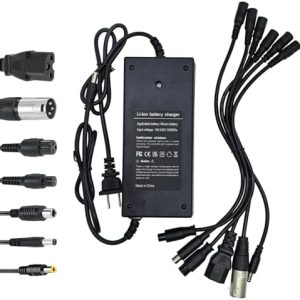 5|6V 2A Fast Charger for Scooter Rad Power Lectric XP Sondors Pedego Jasion eb7 Evercross H5 Vsett 8 8+ 48V Lithium-ion
