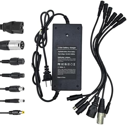 5|6V 2A Fast Charger for Scooter Rad Power Lectric XP Sondors Pedego Jasion eb7 Evercross H5 Vsett 8 8+ 48V Lithium-ion