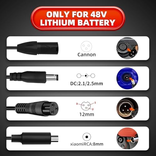 UL Certified Fast Charging Electric Bike Charger for 48V Ebike Battery - Compatible with Lectric XP |0/|0, Ecotric City/