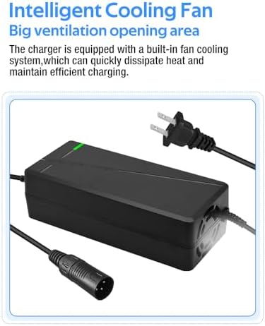 Super Fast Charger for 48V Lithium Battery No Adapter Needed | 5|6V 3A/5A Charger for 48V Lithium Battery with Cooling