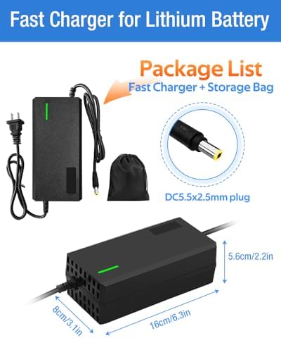 Super Fast Charger for 48V Lithium Battery No Adapter Needed | 5|6V 3A/5A Charger for 48V Lithium Battery with Cooling