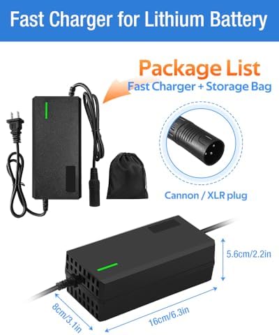 Super Fast Charger for 48V Lithium Battery No Adapter Needed | 5|6V 3A/5A Charger for 48V Lithium Battery with Cooling