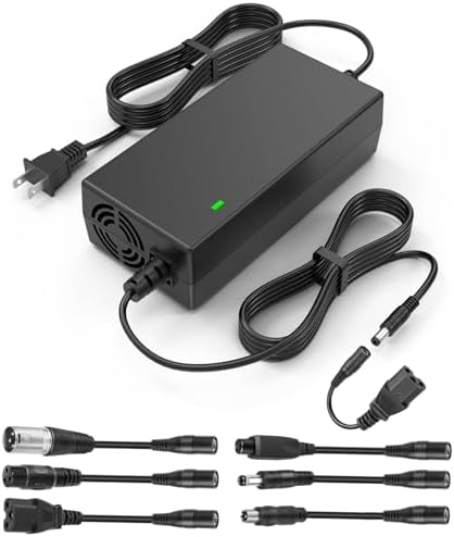 TREE.NB 5|6V 2A Charger for Lithium Battery with 5.5x|1mm Jack Round Connector, GOTRAX GXL V2/G2/G3/G4/Apex/Glider/XR El