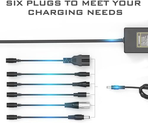 5|6V 2A Fast Charger with Cooling System for 48V Li-ion Battery | Universal 5|6V 2A Fast Charger with Cooling System fo