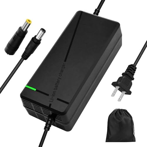 Super Fast Charger for 48V Lithium Battery No Adapter Needed | 5|6V 3A/5A Charger for 48V Lithium Battery with Cooling