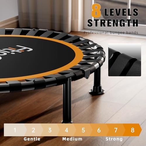 48" Foldable Mini Trampoline for Adults and Kids | Durable Bungee Band | 330lbs Load Capacity | Portable Exercise Reboun