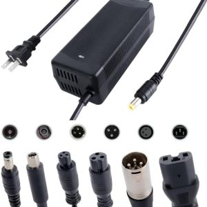 5|6V 2A Fast Electric Bike Charger for 48V Lithium Battery, Compatible with Ebike Lectric XP |0/|0, Ecotric City/Beach,