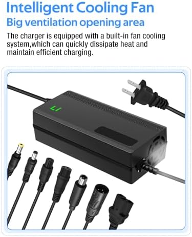 Super Fast Charger for 48V Lithium Battery No Adapter Needed | 5|6V 3A/5A Charger for 48V Lithium Battery with Cooling