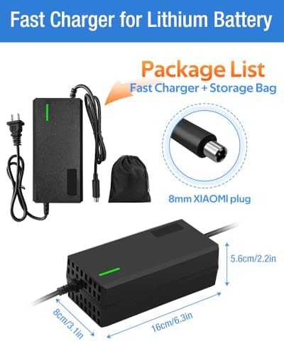 Super Fast Charger for 48V Lithium Battery No Adapter Needed | 5|6V 3A/5A Charger for 48V Lithium Battery with Cooling