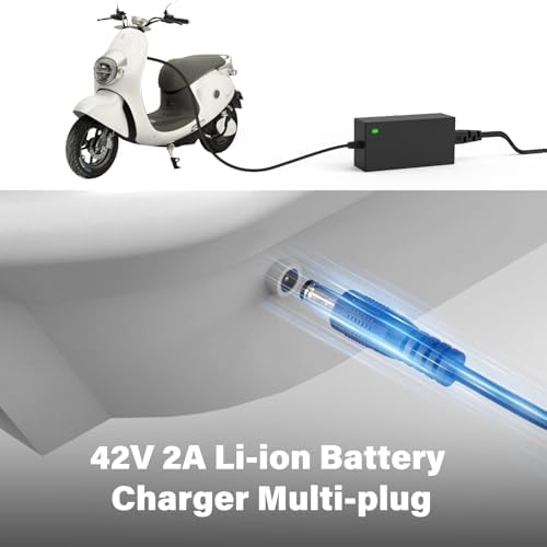 Pinkind 36V Lithium-ion Battery Charger Replacement for 42V 2A Scooter Charger, 7 in 1 Plugs Universal, Suitable for Raz