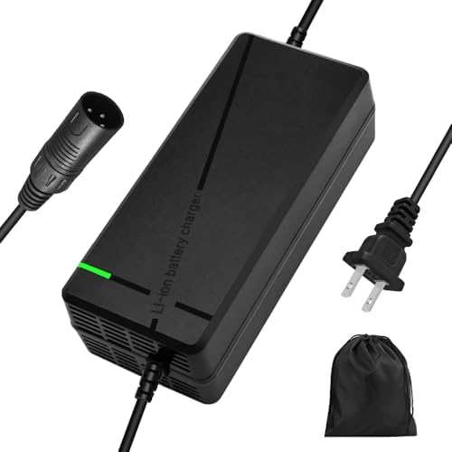 Super Fast Charger for 48V Lithium Battery No Adapter Needed | 5|6V 3A/5A Charger for 48V Lithium Battery with Cooling