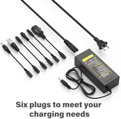 Pinkind 48V Li-ion Battery Charger Replacement for Razor, Jetson, Voyage, Gotrax, Ninebot, Segway, Hiboy and More 5|6V 2