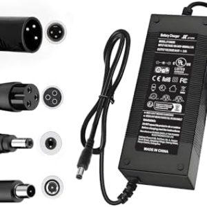 UL Certified Fast Charging Electric Bike Charger for 48V Ebike Battery - Compatible with Lectric XP |0/|0, Ecotric City/