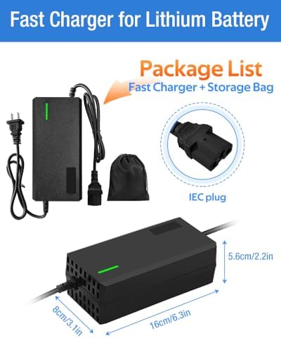 Super Fast Charger for 48V Lithium Battery No Adapter Needed | 5|6V 3A/5A Charger for 48V Lithium Battery with Cooling
