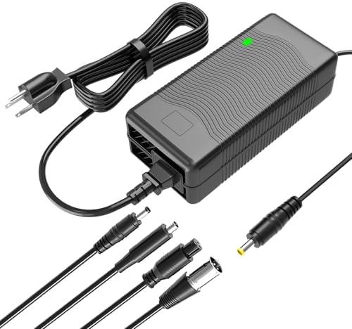 5|6V 2A Charger for Lithium Battery Equipped with 4 Output Heads Compatible with Battery Charger