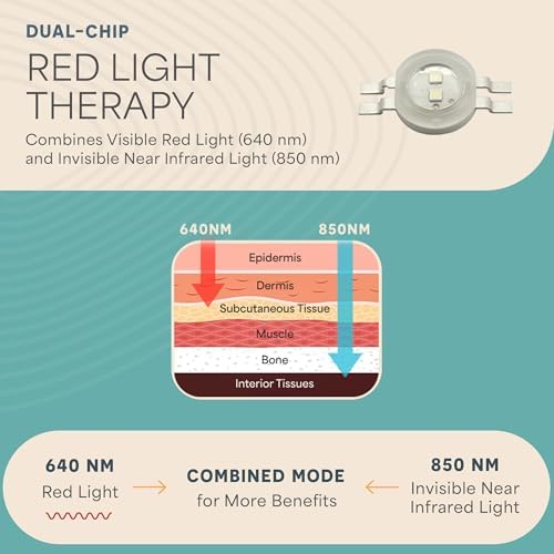 Lifepro Quiet Elliptical Exercise Machine for Seniors & Adults, Seated Pedal Exerciser, Home & Office Use, Portable Red