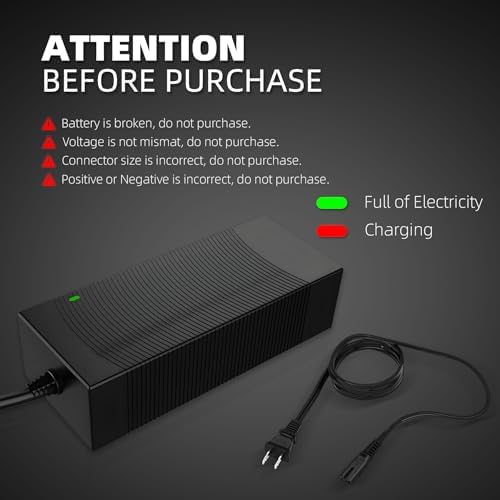 UL Certified Fast Charging Electric Bike Charger for 48V Ebike Battery - Compatible with Lectric XP |0/|0, Ecotric City/