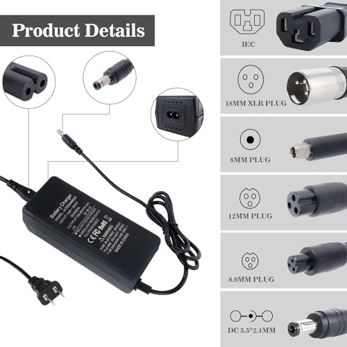 5|6V 2A Fast Electric Bike Charger for 48V Lithium Battery, Compatible with Ebike Lectric XP |0/|0, Ecotric City/Beach,