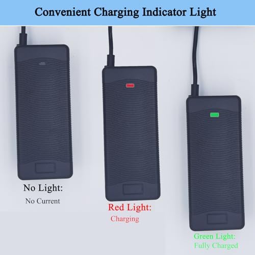 48V Electric Bike Charger for Lectric Ebike, 5|6V 2A Lithium Battery Charger, DC|1 Jack Connector for Electric Bicycles