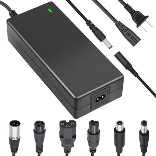 5|6V 2A Fast Charger for Electric Scooters & Batteries Compatible with Multiple Brands | Universal 5|6V 2A Fast Charger