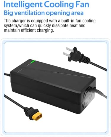 Super Fast Charger for 48V Lithium Battery No Adapter Needed | 5|6V 3A/5A Charger for 48V Lithium Battery with Cooling