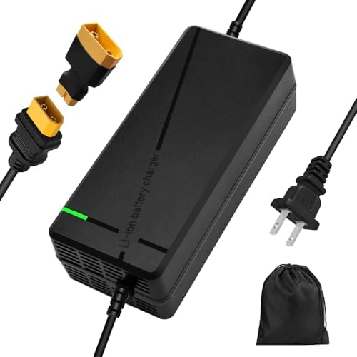 Super Fast Charger for 48V Lithium Battery No Adapter Needed | 5|6V 3A/5A Charger for 48V Lithium Battery with Cooling