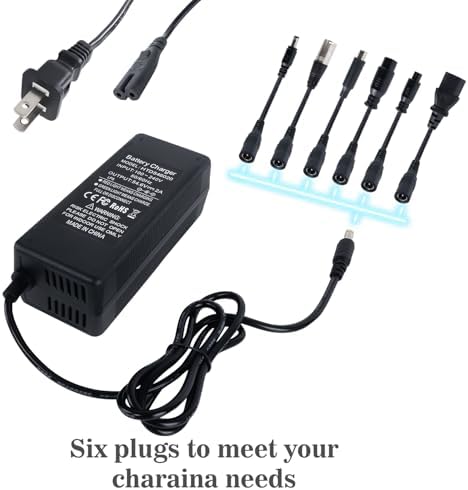 5|6V 2A Fast Electric Bike Charger for 48V Lithium Battery, Compatible with Ebike Lectric XP |0/|0, Ecotric City/Beach,