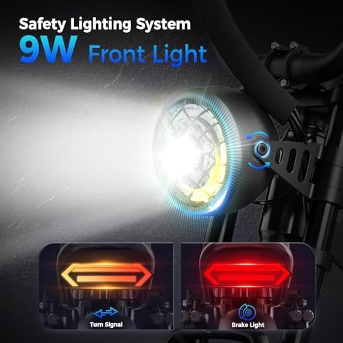 Electric Bike for Adults, 2000W/1500W Peak Motor, All Terrain Ebike Electric Bike for Adults, 20"/16" Fat Tire Ebike,