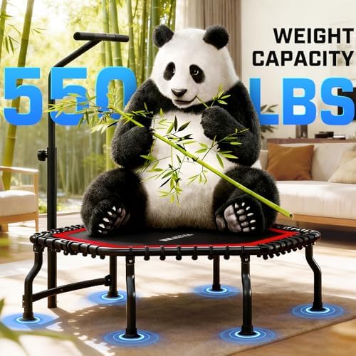 ANCHEER Trampoline for Adult, Indoor Outdoor Mini Trampoline, 550LBS_fitness_trampoline_with_Bungee