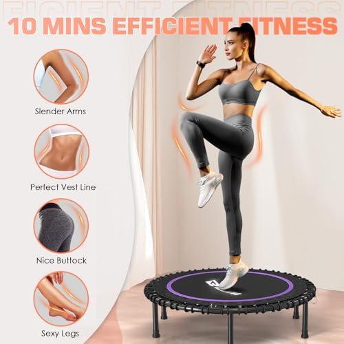 BCAN Durable 450LBS/550LBS Foldable Mini Trampoline for Adult Indoor/Outdoor Workout