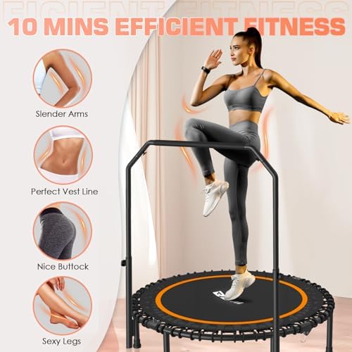 BCAN 40"/48" Mini Rebounder Trampoline for Adults with Bar: Whole-Body Workout & Relaxation at Home, Stable & Quiet, Adj