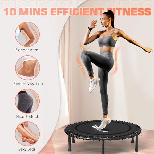 BCAN Durable 450LBS/550LBS Foldable Mini Trampoline for Adult Indoor/Outdoor Workout