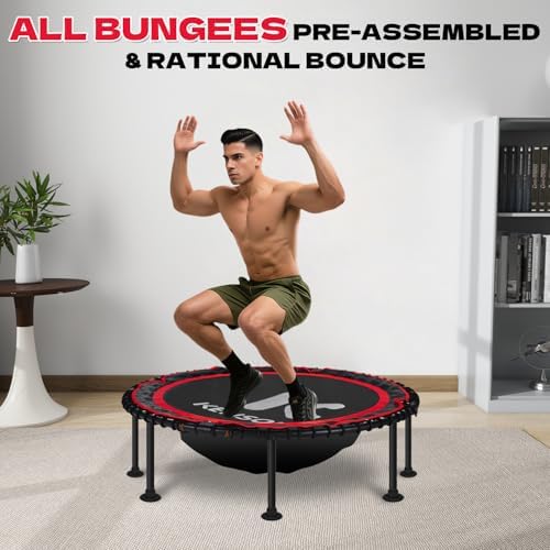 450/550 Lbs Quiet Indoor Mini Trampoline for Adults | Fitness Gym Workout | 40/48" Foldable Rebounder Trampoline with Bu